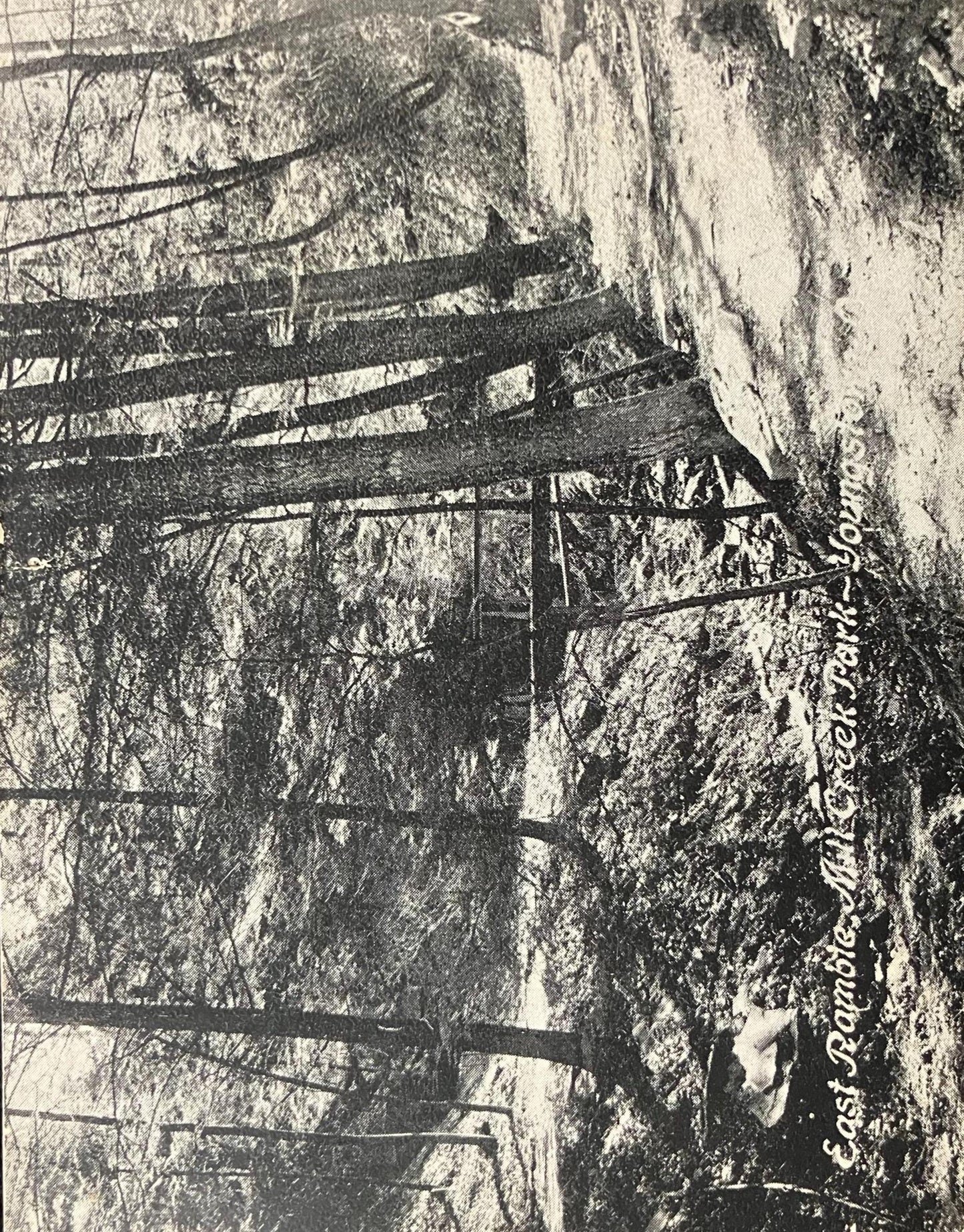 East Ramble, Mill Creek Park - Youngstown, Ohio - Vintage Park Postcard