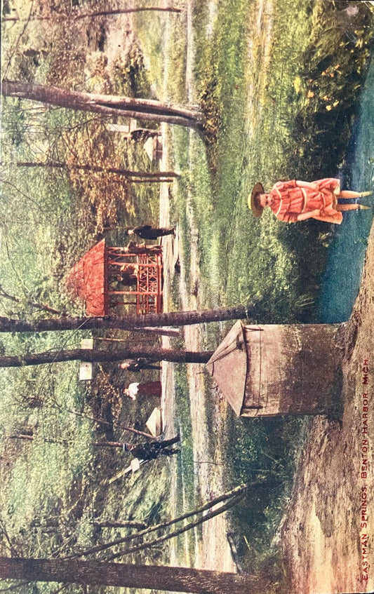Eastman Springs, Benton Harbor, Michigan - Vintage Postcard