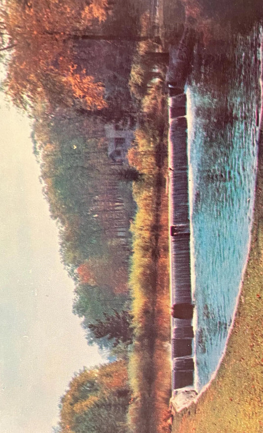 The Dam at Milham Park, Kalamazoo, Michigan - Vintage Park Postcard