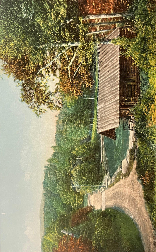 A Mountain Toll Gate, Michigan - Copr. Detroit Photographic Co. - Vintage Postcard
