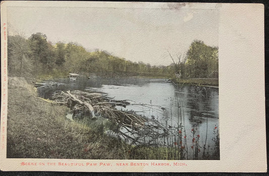 Scene on the Beautiful Paw Paw, near Benton Harbor, Michigan - E. C. Kropp Milwaukee, - Vintage Postcard