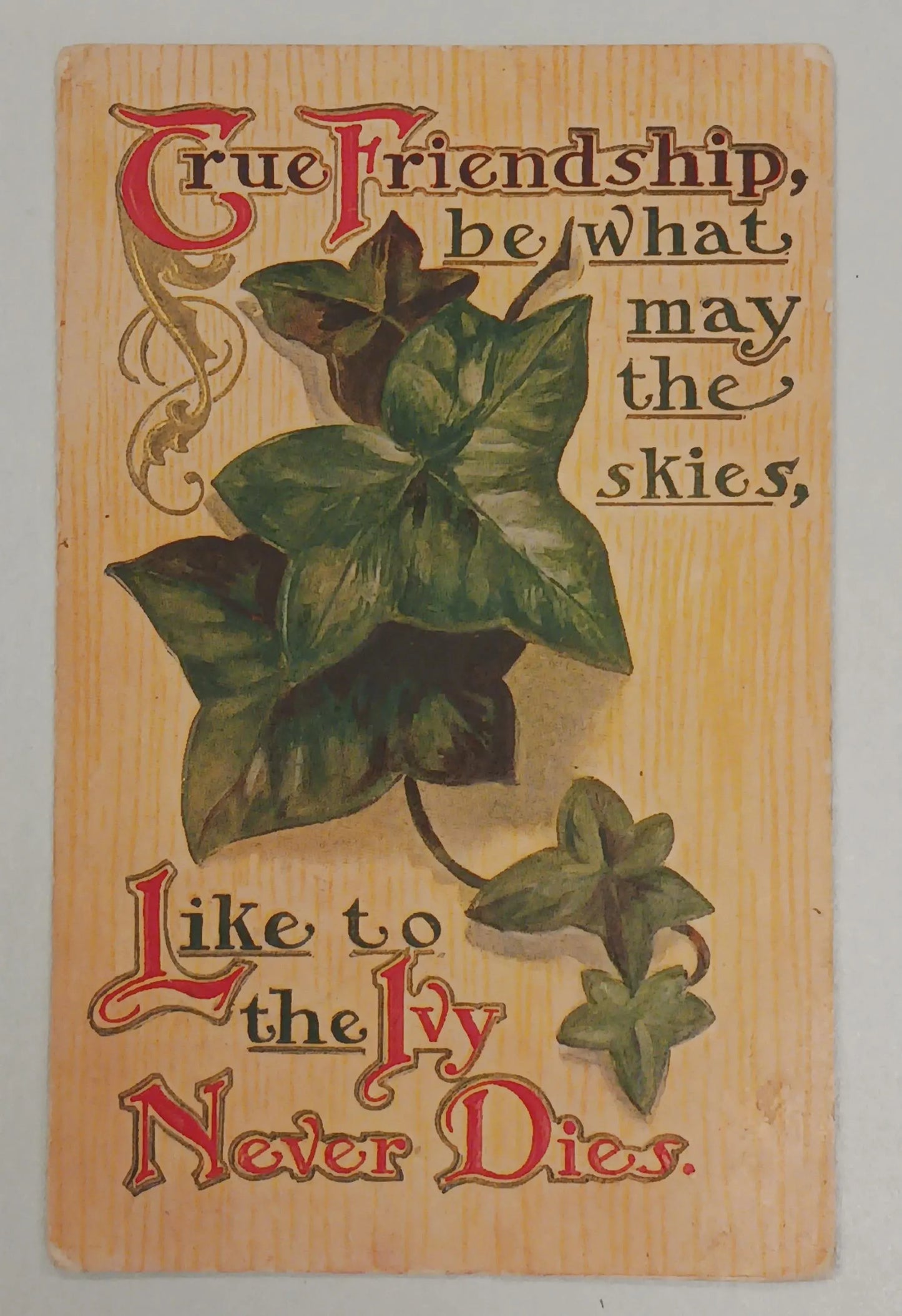 True Friendship Sentiment - Vintage 1910 Postcard
