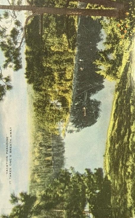 Vacation Paradise It Takes One's Breath Away, Manistee, Michigan - Vintage Postcard