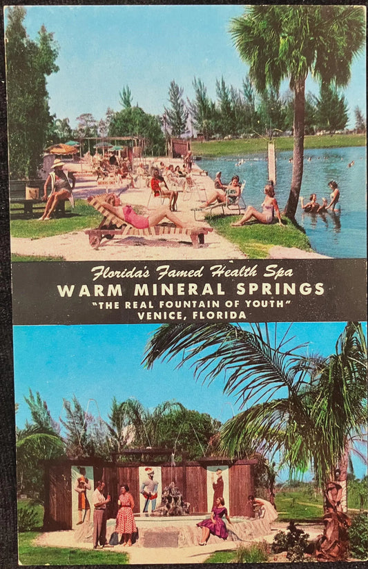 Florida’s Famed Health Spa Warm Mineral Springs “The Real Fountain of Youth” Venice, Florida - Vintage Springs Postcard
