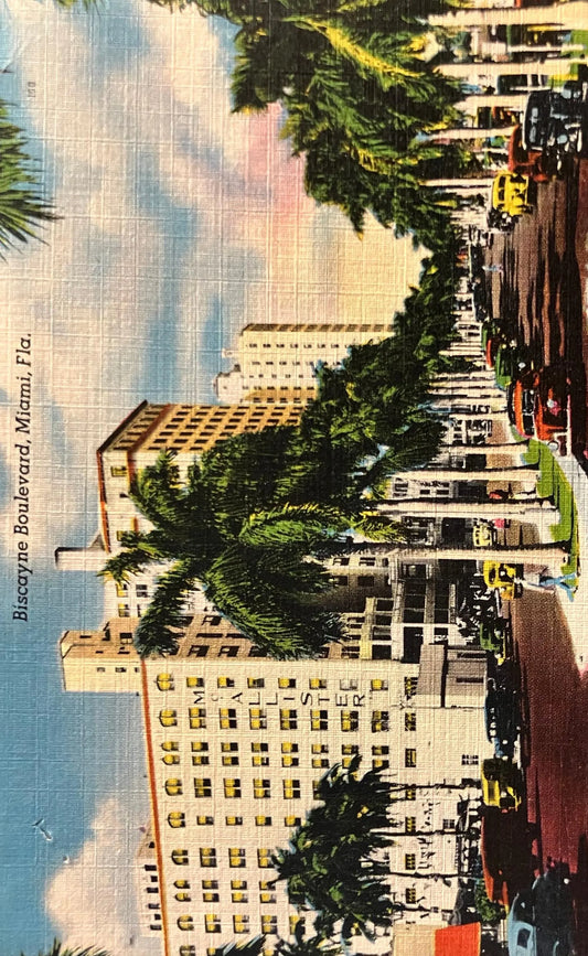 Biscayne Boulevard, Miami, Florida - Vintage Linen Postcard