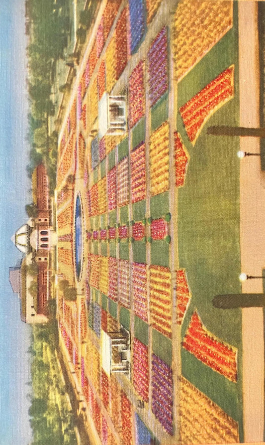 Sunken Gardens, Exposition Park, Los Angeles, California - Vintage Park Postcard