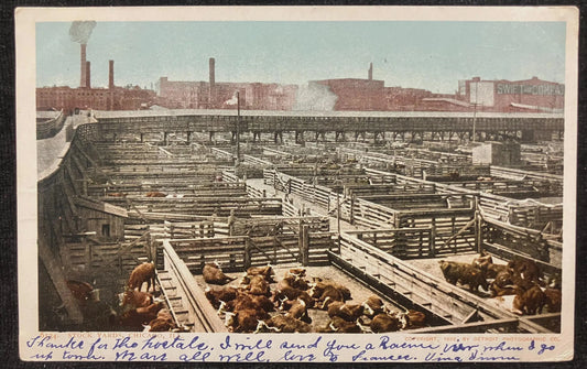 Stock Yards, Chicago, Illinois - Copyright, 1902, By Detroit Photographic Co. - Vintage Postcard