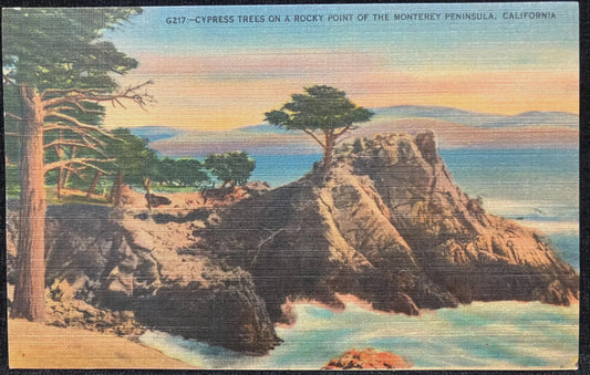 Cypress Trees on a Rocky Point of the Monterey Peninsula, California - Vintage Postcard