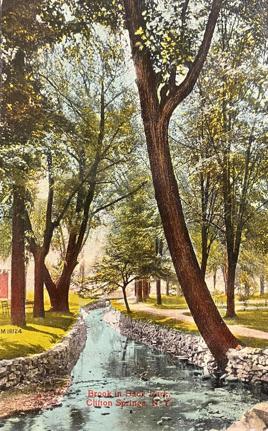 Brook in Back Park, Clifton Springs, New York - Vintage Park Postcard