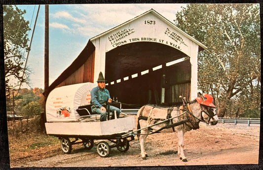 Bill Capps and his Mule in front of Mecca Bridge in Parke County, Indiana - Photo: Mitchell - Vintage Covered Bridge Postcard