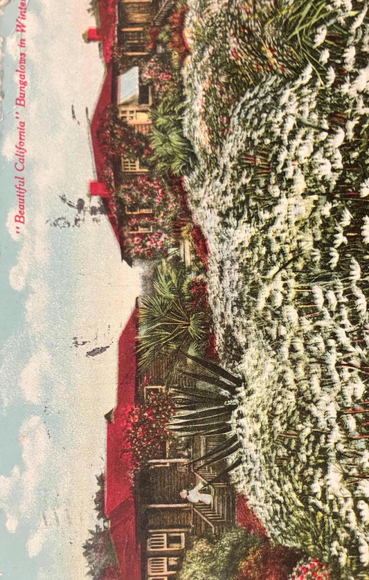 Beautiful California Bungalows in Winter - Vintage Postcard
