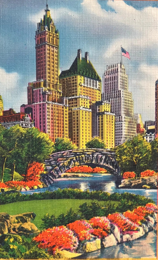 Fifth Avenue Hotels and Buildings - Near Plaza in Central Park, New York City - Vintage Postcard