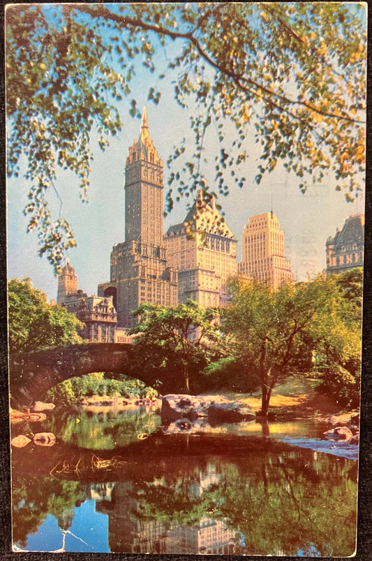 Central Park and Fifth Avenue Hotels, New York City, New York - Vintage Park Postcard