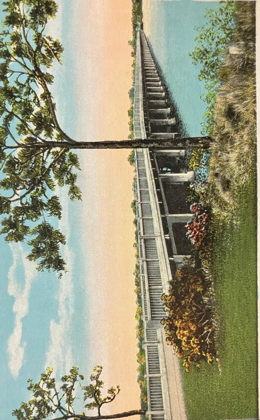 Back Bay Bridge, Biloxi, Mississippi - Vintage Bridge Postcard