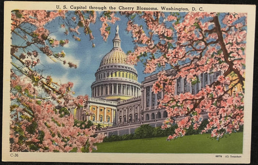 U. S. Capitol, Washington D.C., Maryland - Copyright: Tenschert - Vintage Postcard