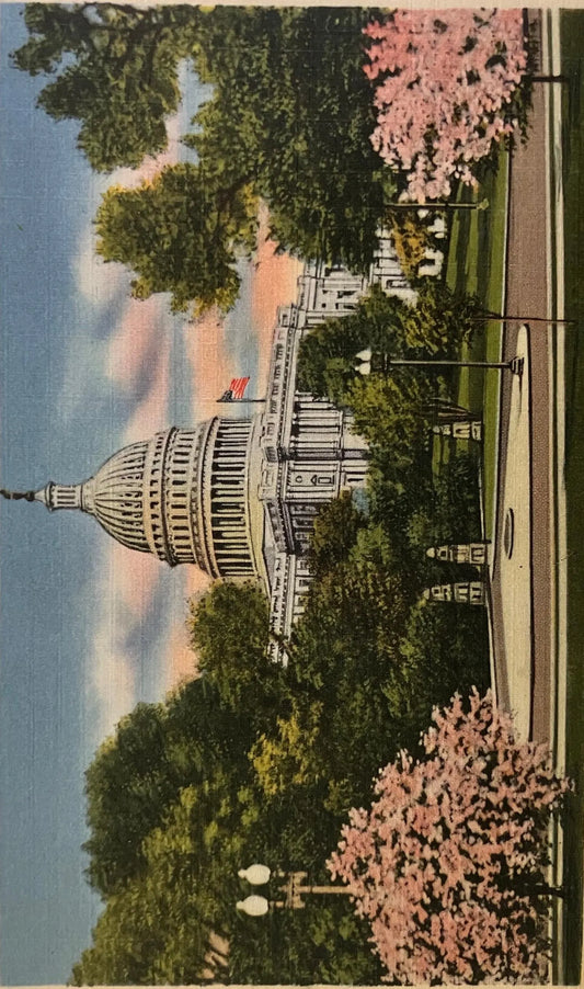 U. S. Capitol, Washington D.C., Maryland - Capitol Souvenir Co. Inc. - Vintage Postcard