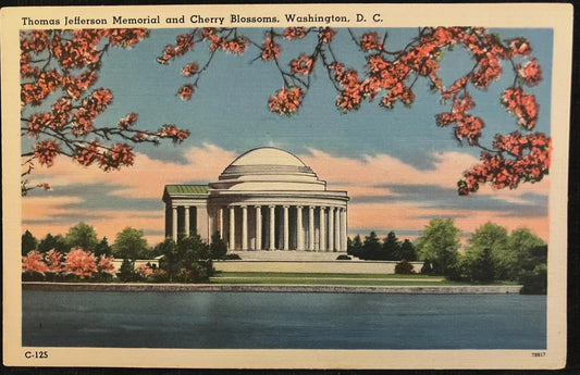 Thomas Jefferson Memorial and Cherry Blossoms, Washington, D. C., Maryland - Vintage Postcard