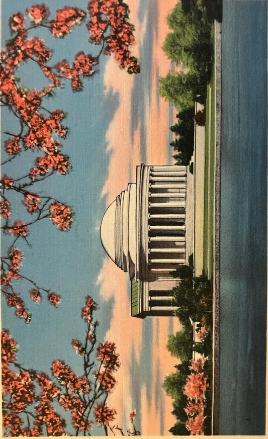 Thomas Jefferson Memorial and Cherry Blossoms, Washington, D. C., Maryland - Vintage Postcard