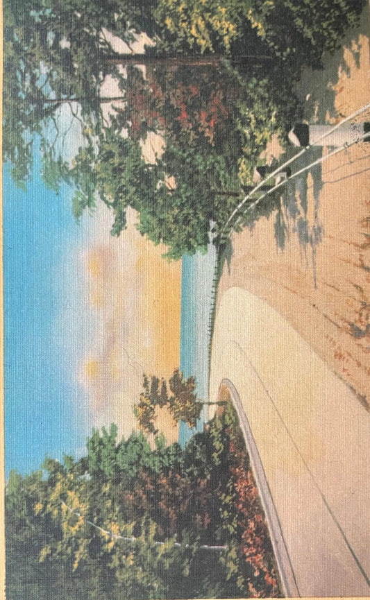 Beautiful Scenic Drive, Muskegon, Michigan - Vintage Postcard