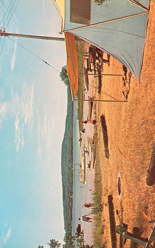 Camping in Young State Park, Near Boyne City, Michigan - Photo: Thomas H. Avery - Vintage State Park Postcard