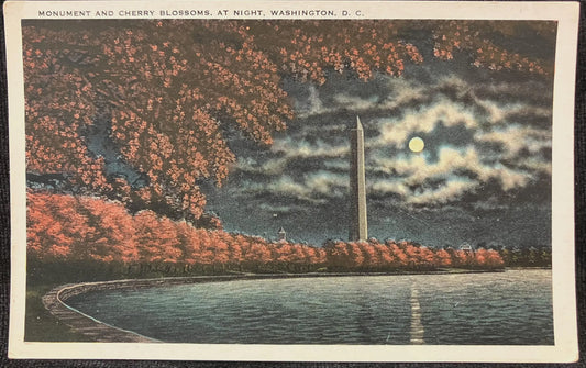 Monument and Cherry Blossoms, at Night, Washington, D. C., Maryland - Vintage Postcard