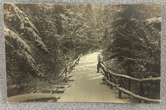 Winter Trail and Bridge Scene, Paw Paw, Michigan - Vintage Postcard