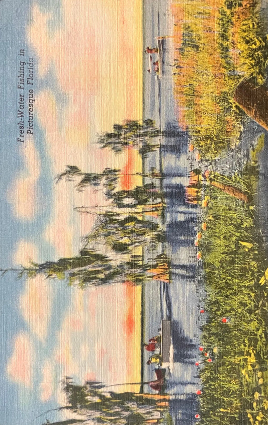 Fresh-Water Fishing in Picturesque Florida  - Two Stamps - Vintage Nature Postcard