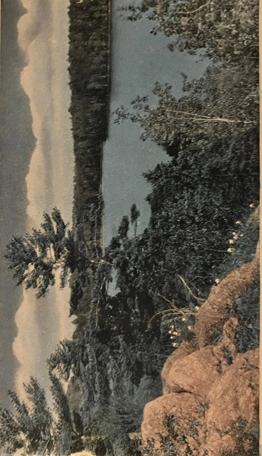 Greetings from Manistee, Michigan - Scenic Vacation Wonderland - Vintage Nature Postcard