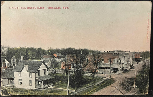 State Street, Looking North, Gobleville, Michigan - E. C. Kropp Co. - Vintage Postcard