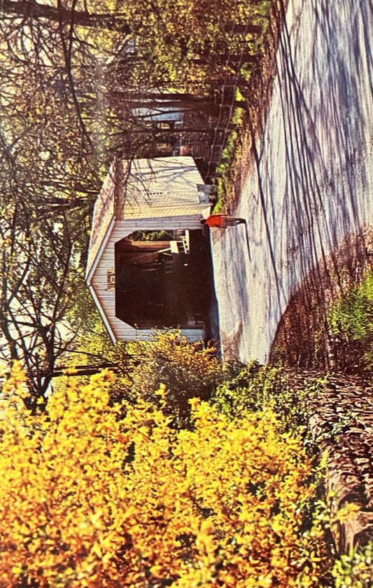 Green Sergeant’s Covered Bridge in Hunterdon County, New Jersey - Vintage Bridge Postcard