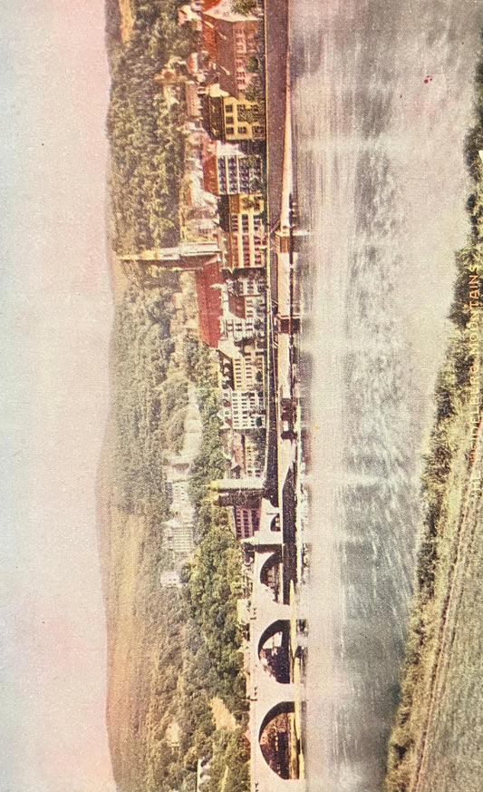 The Heidelberg Mountains - Vintage Germany Postcard