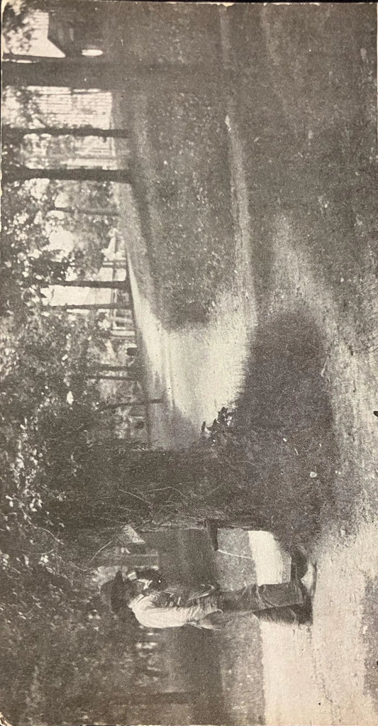 Tree Spring, Winona Lake, Indiana - Vintage Postcard