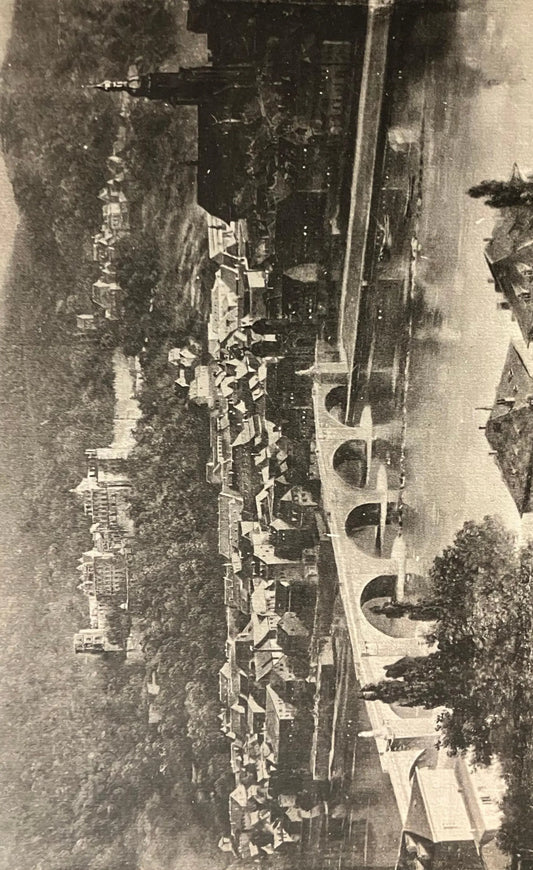 The Philosopher's Walk Heidelberg - Vintage Germany Postcard