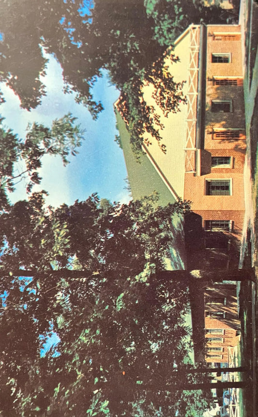 The Cafeteria - Tri-State College in Angola, Indiana - Ektachrome by Jack Taylor - Vintage Postcard