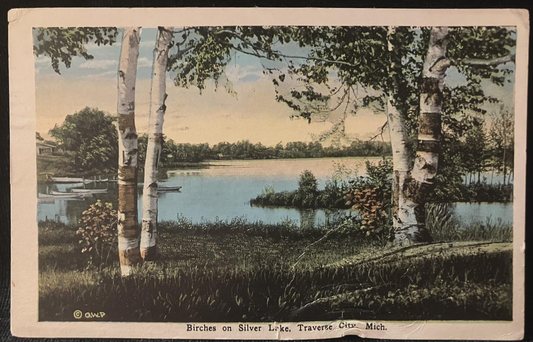 Birches on Silver Lake, Traverse City, Michigan - Vintage Postcard