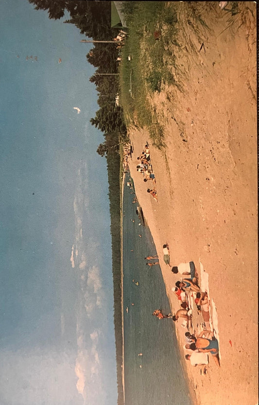 Wilderness State Park Mackinaw City, Michigan - Photo: Lucy Gridley - Vintage Postcard