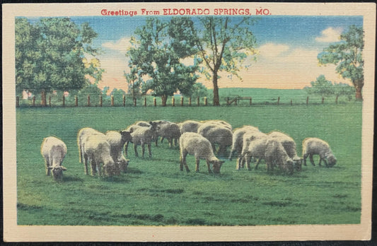 Greetings From Eldorado Springs, Missouri - Vintage Postcard