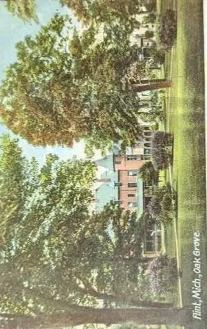 Oak Grove in Flint, Michigan - Vintage Postcard