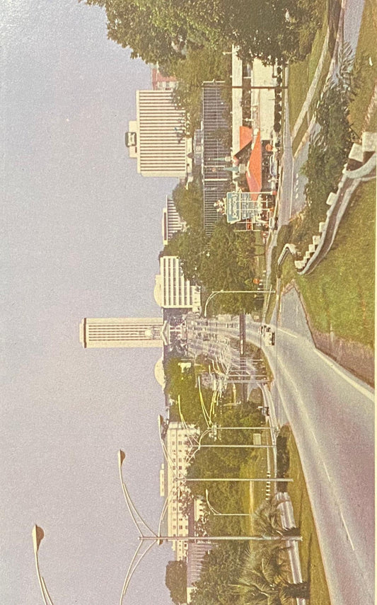 Tallahassee, Florida - Vintage Postcard