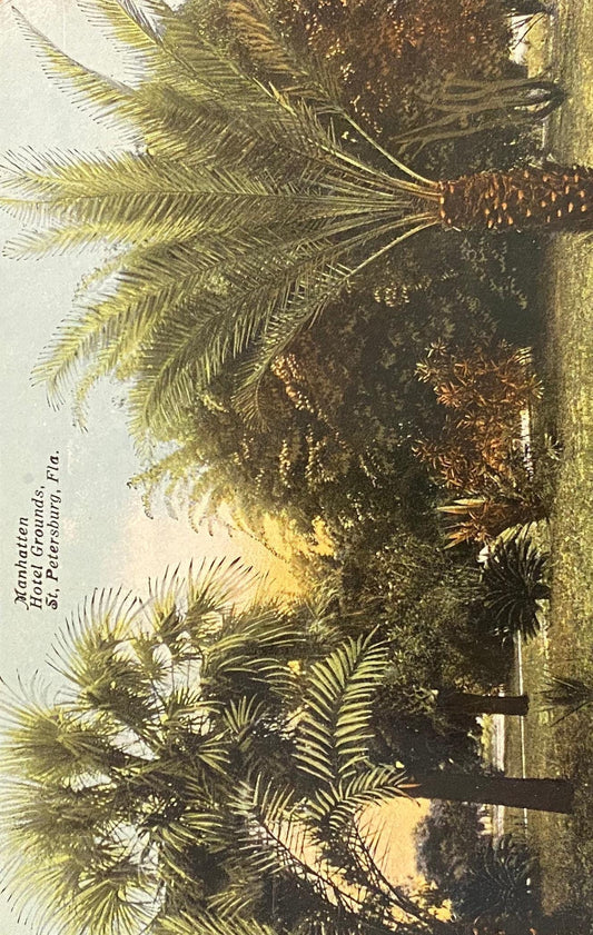 Manhattan Hotel Grounds, St. Petersburg, Florida - Vintage Postcard