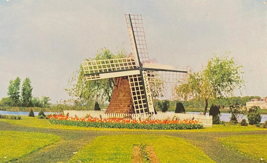 Windmill Park, Holland, Michigan - 1955 Vintage Postcard