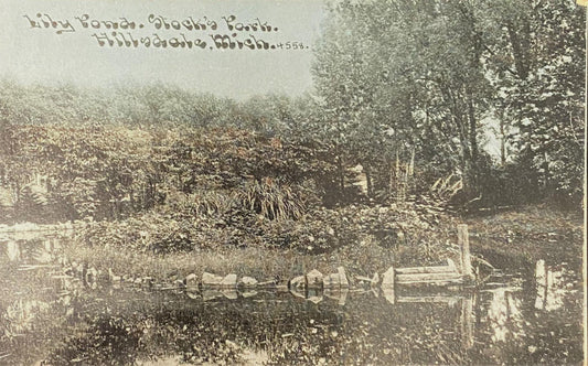 Libby Pond Stock's Park Hillsdale, Michigan - 1910s Vintage Postcard