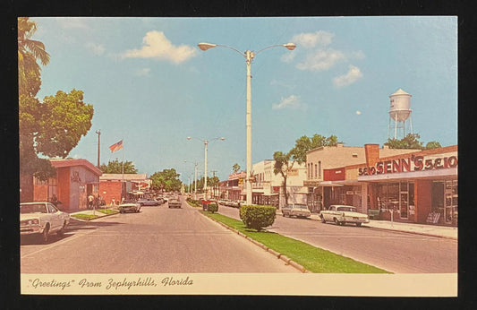 Greetings from Zephyrhills, Florida - Vintage Postcard