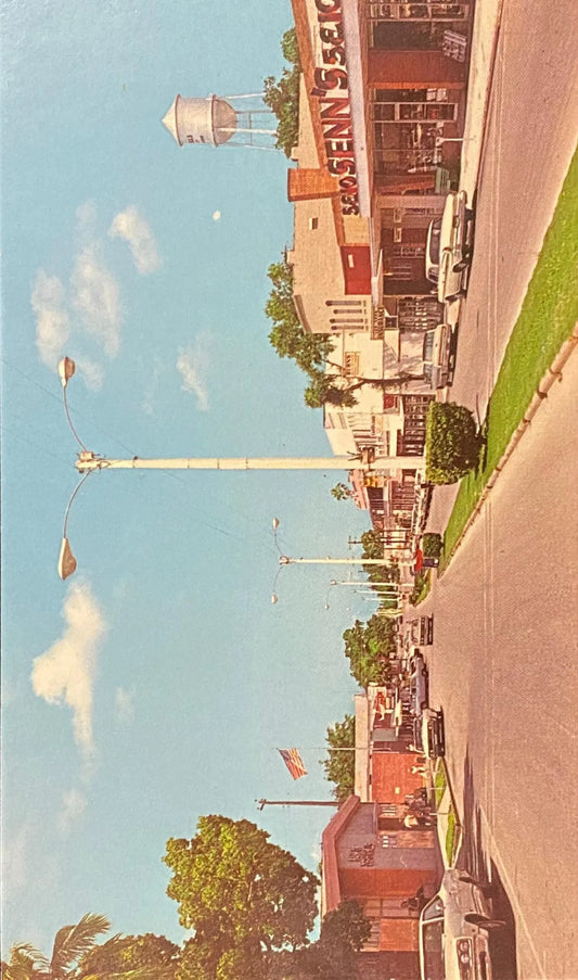 Greetings from Zephyrhills, Florida - Vintage Postcard