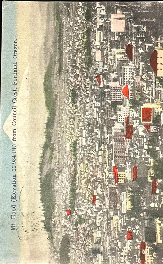 Mt. Hood (Elevation 11,934 Ft.) From Council Crest, Portland, Oregon - Vintage Postcard