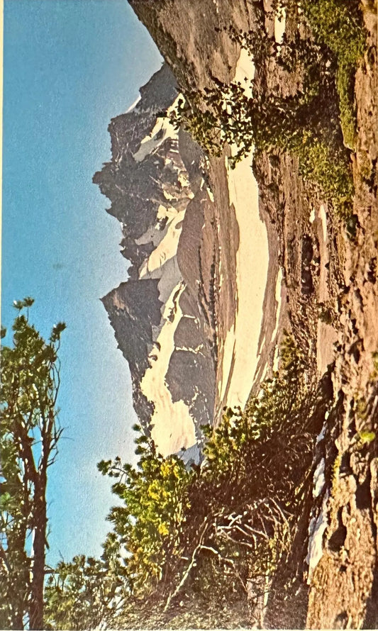 Broken Top Crater, Central Oregon - Vintage 1960s Nature Postcard