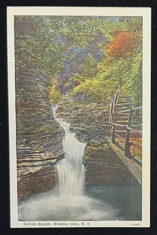Sylvan Rapids, Watkins Glen, New York - Vintage Postcard