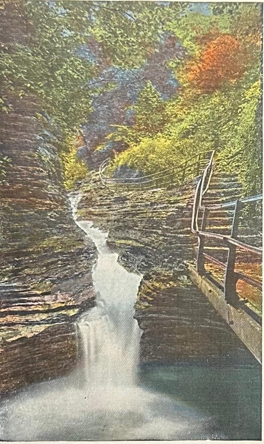 Sylvan Rapids, Watkins Glen, New York - Vintage Postcard