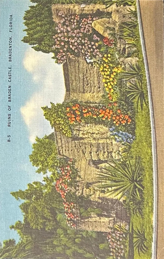 Ruins of Braden Castle, Bradenton, Florida - Vintage Postcard
