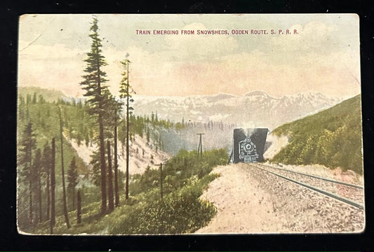 Train Emerging from Snow sheds, Ogden Route, S. P. R. R. - Vintage Postcard